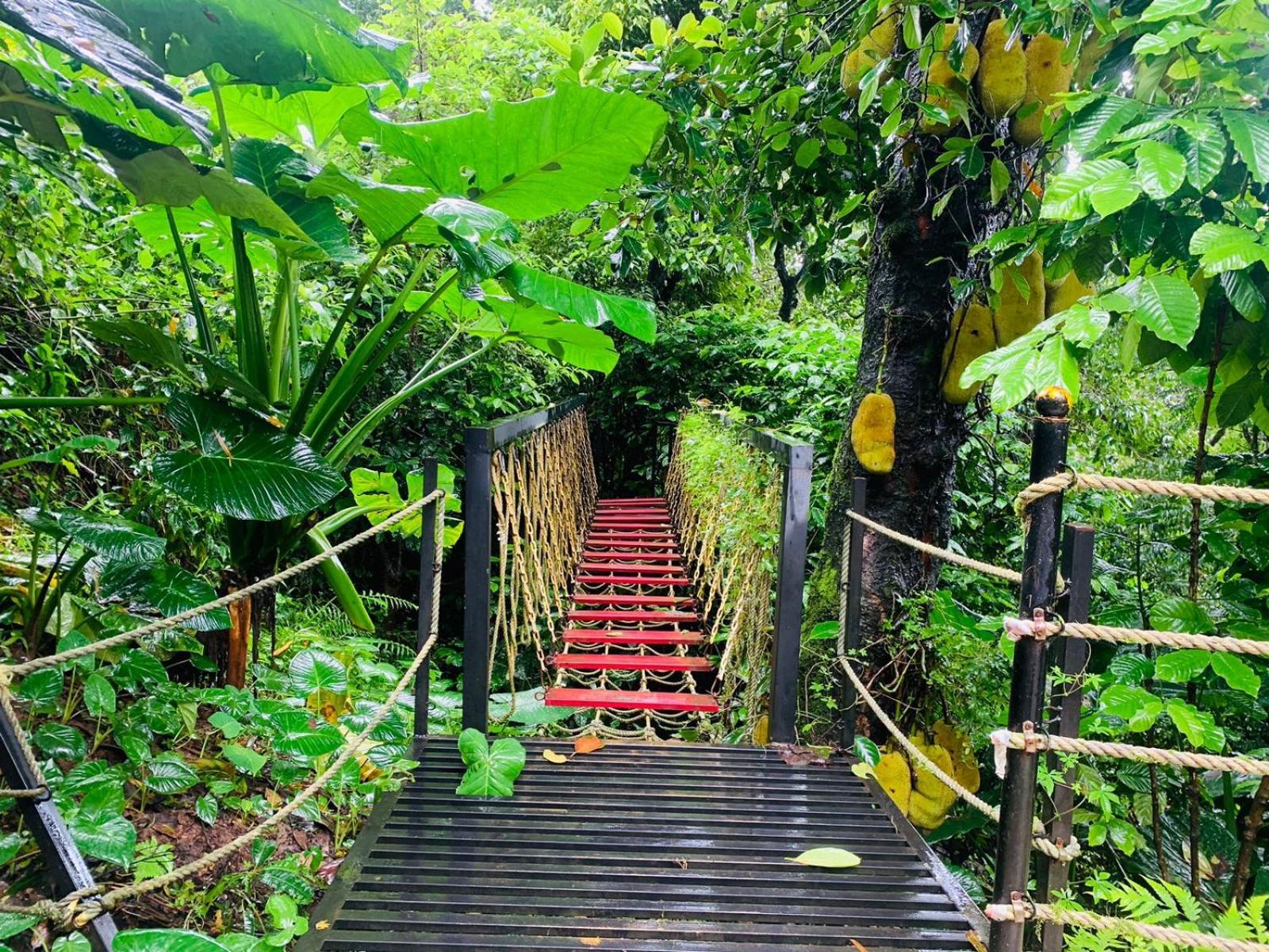 The Mountain Shades Resort Madikeri Buitenkant foto