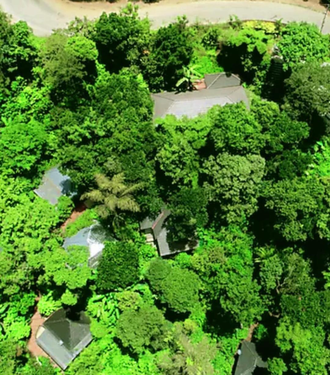 The Mountain Shades Resort Madikeri Buitenkant foto